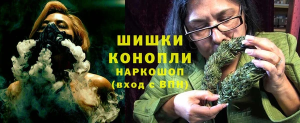 сатива Алексин