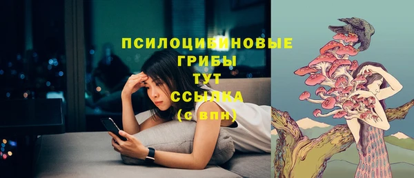 сатива Алексин