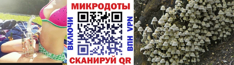 Галлюциногенные грибы MAGIC MUSHROOMS  дарнет шоп  Бирск 